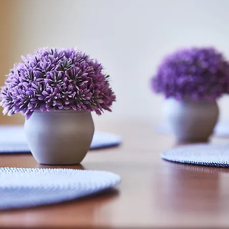 For Groups Apartment