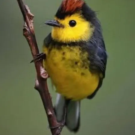 For Groups Apartamento *